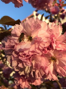 關(guān)于春季節(jié)的詩(shī)句是