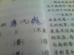 諺語,詩句,成語