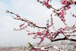 關(guān)于簡單快樂的詩句