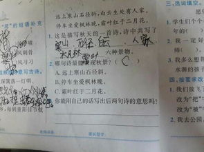 關(guān)于科學(xué)的古詩句帶意思