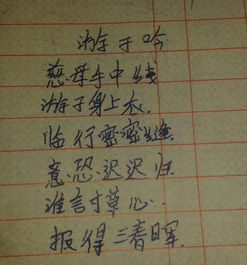 關(guān)于親情的詩句5言4句