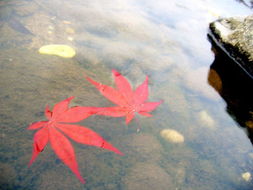 經(jīng)典做人的古詩(shī)句