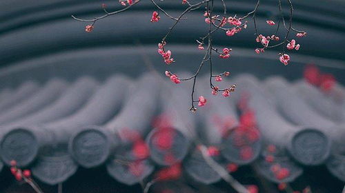 關(guān)于在困境時的古詩句