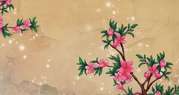 春花雪的詩(shī)句古詩(shī)