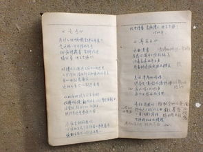 關(guān)于楊木的詩句