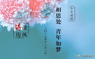 關(guān)于落木的詩句及形象