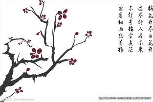 關(guān)于梅花詩(shī)句有圖畫