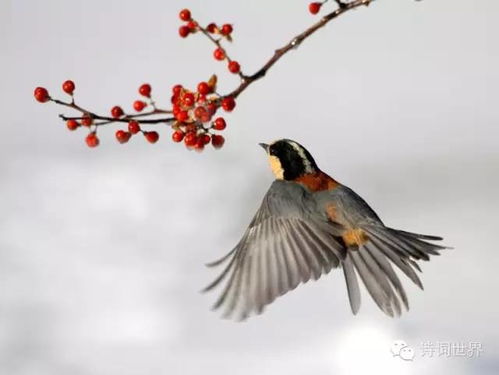 有關(guān)于運(yùn)的詩句