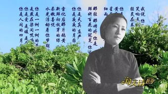 詩(shī)句,陪伴,選擇