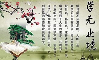 關(guān)于學(xué)無止境的詩句或名言