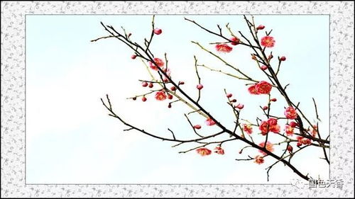 形容友誼長久的詩句古詩詞,關(guān)于幸福的詩句古詩詞,形容失眠的詩句古詩詞