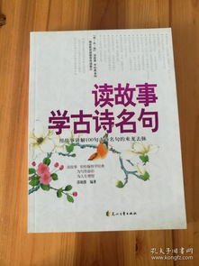 詩句,經(jīng)歷