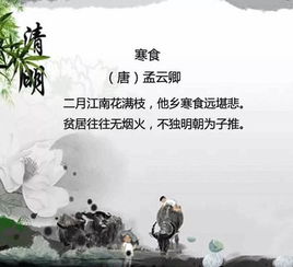 關(guān)于清明節(jié)祭祖的詩句