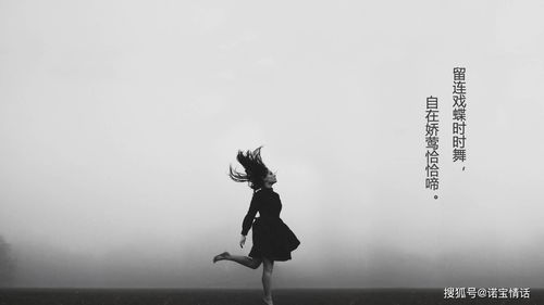 關(guān)于最孤獨(dú)的人的古詩(shī)句