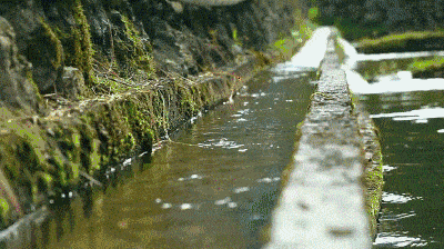 不見真心的古詩句,真心易變的古詩句,把真心錯(cuò)付的古詩句