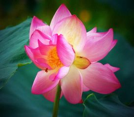 事物的重要性古詩(shī)句