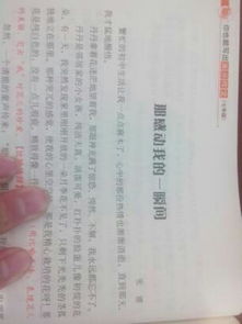 感恩常在作文優(yōu)美開(kāi)頭