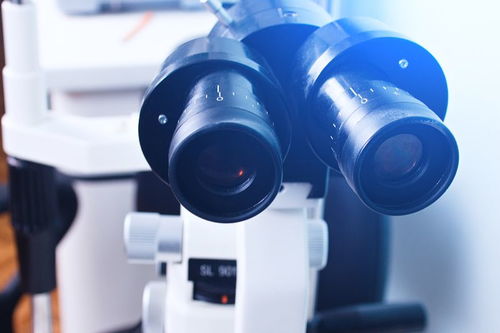 關于母親幫助我們的作文開頭結尾