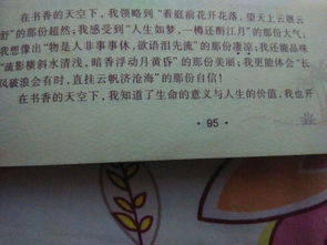 我抬頭看見作文開頭