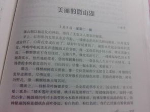 愛的意外記敘文600字作文開頭和結(jié)尾