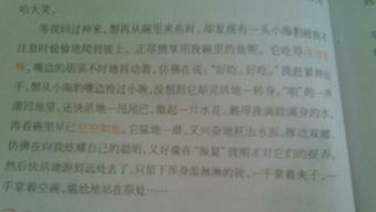 拒絕后的收獲1000字作文開(kāi)頭