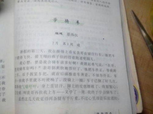 一點(diǎn)光亮作文開頭