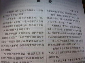 雨中一幕媽媽送傘作文開(kāi)頭