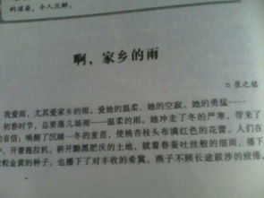 以雨字為開頭寫一篇作文