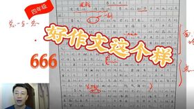 一個(gè)特別的春節(jié)作文開頭