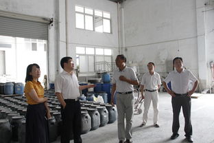 區(qū)非公企業(yè)黨建調(diào)研報(bào)告(企業(yè)黨建調(diào)研報(bào)告)