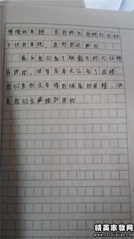 運(yùn)動(dòng)會(huì)難忘的一天作文開頭結(jié)尾