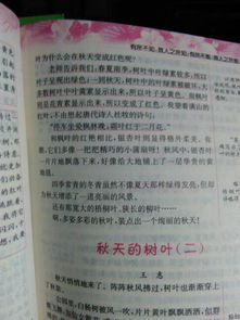 寫秋天樹葉優(yōu)美的作文開頭