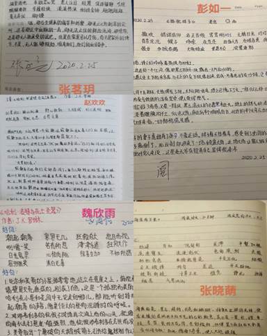 被忽視的......作文開頭