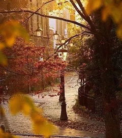 生活作文開頭結(jié)尾優(yōu)美段落