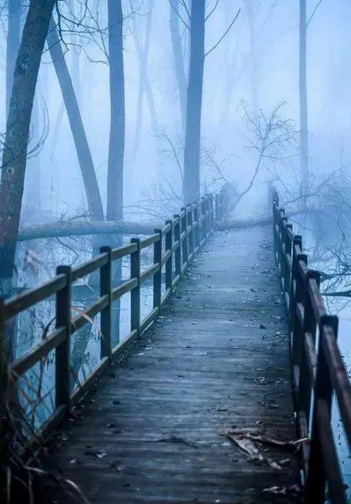 以溫暖的陽光作文開頭結(jié)尾