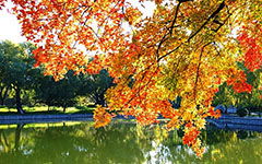 家鄉(xiāng)作文四季開頭結尾怎么寫