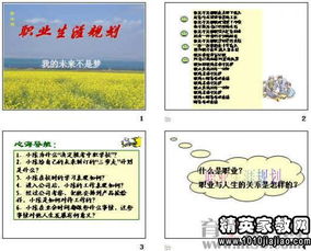 個人職業(yè)生涯規(guī)劃范文(個人5年職業(yè)生涯規(guī)劃書范文)