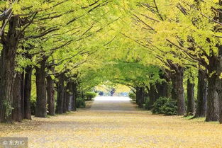 小學(xué)三級寫事作文開頭與結(jié)尾怎么寫