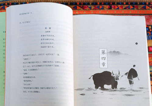 感受詩(shī)詞之美作文800字,感受詩(shī)詞之美作文小標(biāo)題,感受詩(shī)詞的美好作文