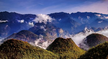 巴山大峽谷作文開(kāi)頭介紹