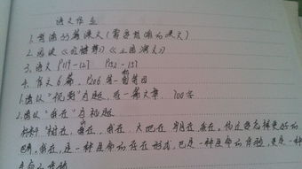 作文找回我失去的800字作文開頭