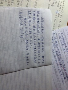 以粗心作文開頭