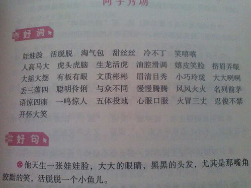 校園的小伙伴作文開頭結尾怎么寫