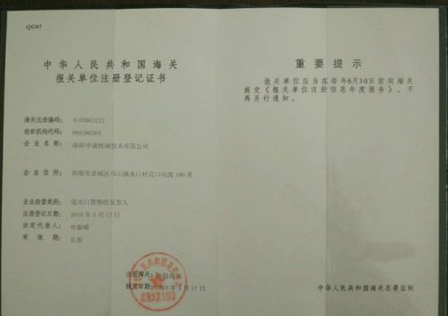 電子口岸實(shí)習(xí)報(bào)告(電子口岸實(shí)習(xí)報(bào)告)