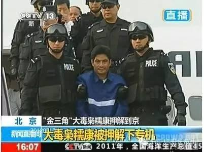 湄公河行動觀后感作文開頭