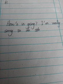 道歉信英語作文開頭模板