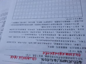 愧怍初三作文開頭