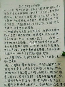 作文開頭父親優(yōu)美句子