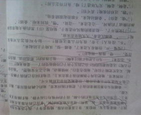 關(guān)于歷史的作文(關(guān)于歷史的作文)