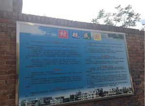 文明社會(huì)美麗鄉(xiāng)村調(diào)查報(bào)告(美麗鄉(xiāng)村調(diào)查報(bào)告)